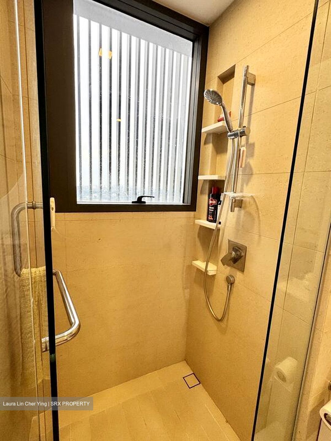 Commonwealth Towers (D3), Condominium #497012571